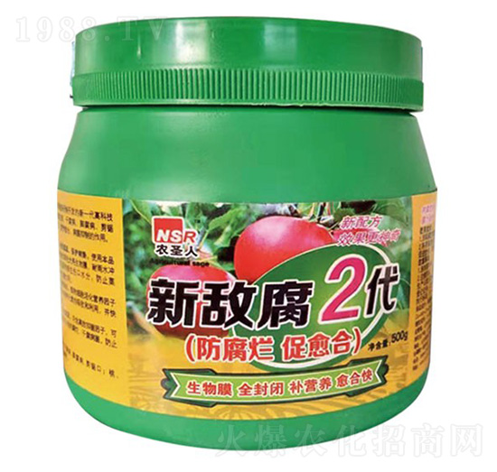 ����2��-�r(n��ng)ʥ��