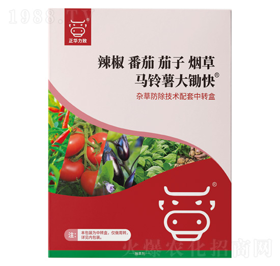 �R������z��-���A����