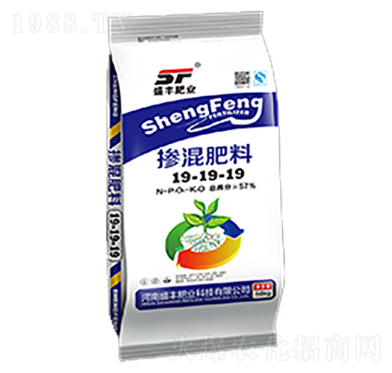 �������19-19-19-ʢ�S�ʘI(y��)