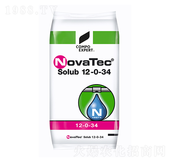 �����Z̩��12-0-34-����