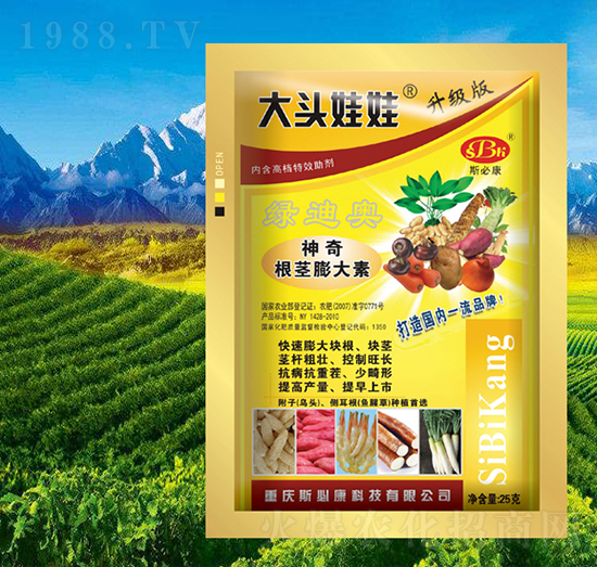 ������o�����-���^����-˹�ؿ�