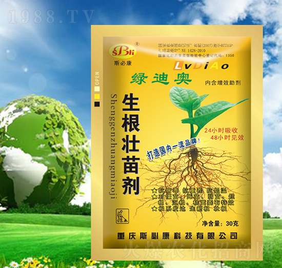 �������焩-�G�ϊW-˹�ؿ�