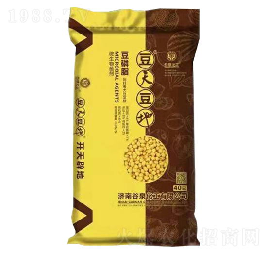 ����֬-���춹��-��Ȫ����