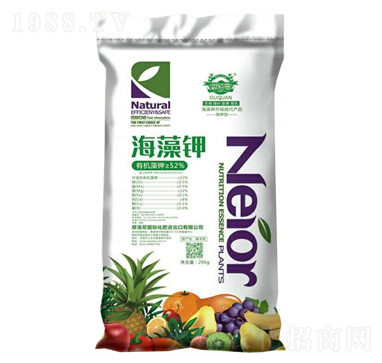 �����-Ħ���-��Ȫ����