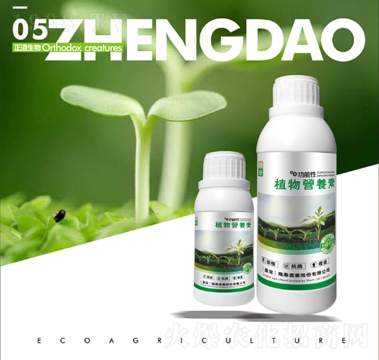 ֲ��I�B(y��ng)��-��������