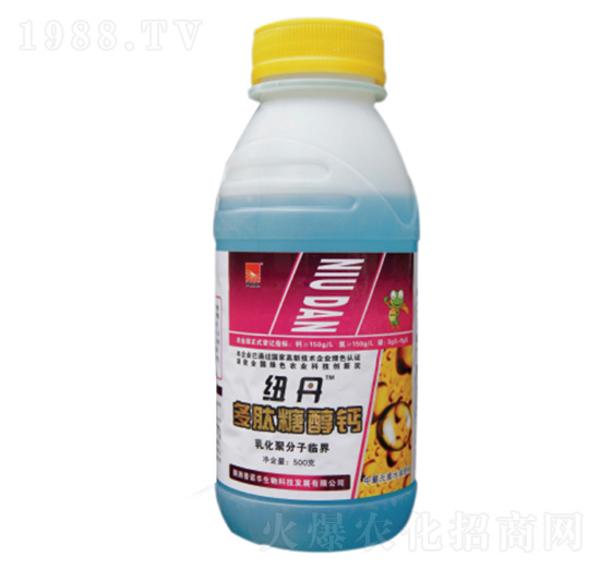 �����Ǵ��}-���Z�S