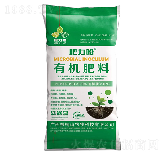 �ЙC(j��)����-������-���ɽ