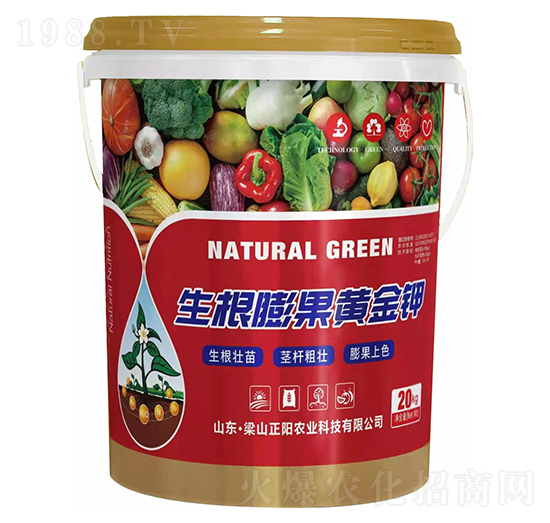 ��������S���-���(y��ng)