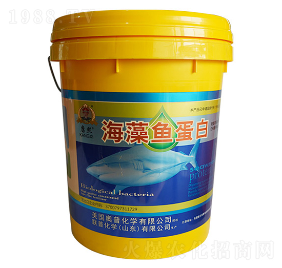 �����~����-�ջ��W