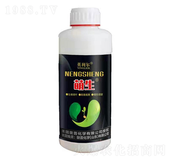 ����-(li��n)�ջ��W(xu��)