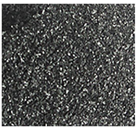 ��ֲ�ḯ�-��?yu��n)W�Ƽ�