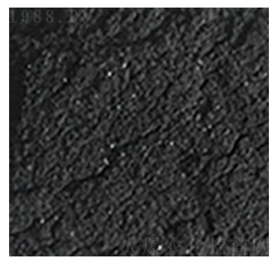 ��ֲ�ḯ�{-��?yu��n)W�Ƽ�