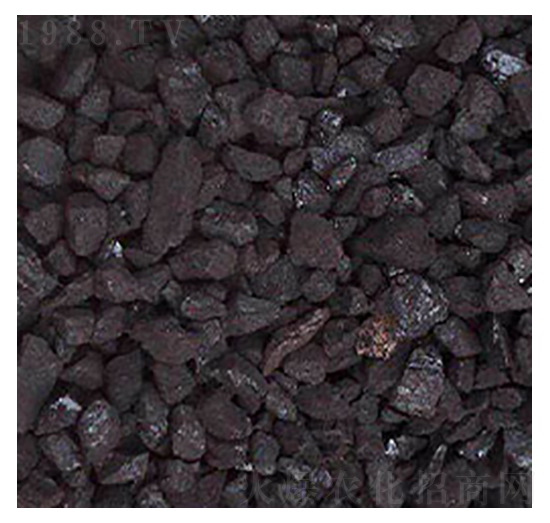 ��ֲ����Ȼ�w��-��W�Ƽ�