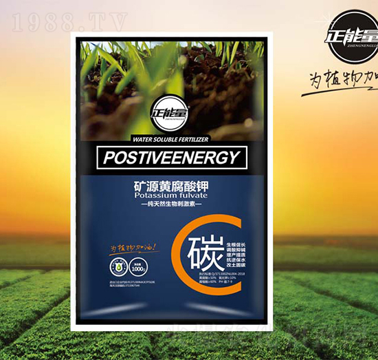 �VԴ�S�����-������