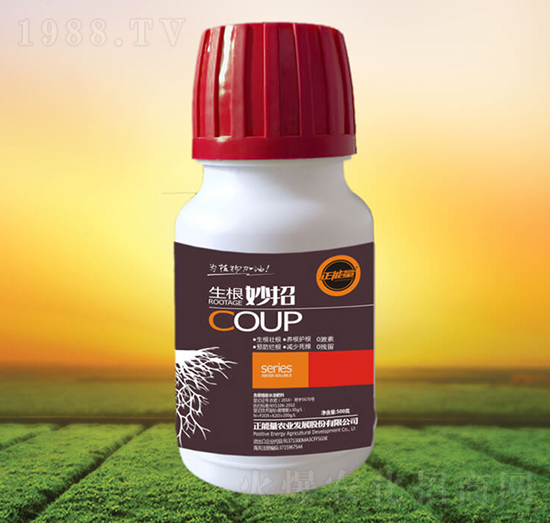 ��������-������