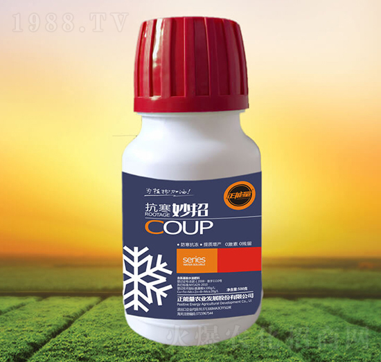 ��������-������