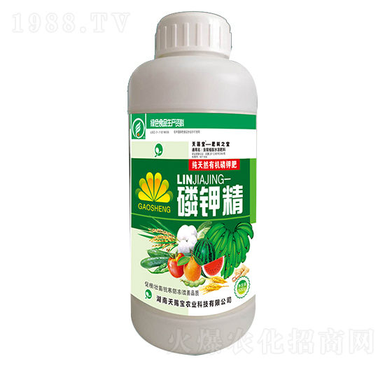 ��⛾�-���n��