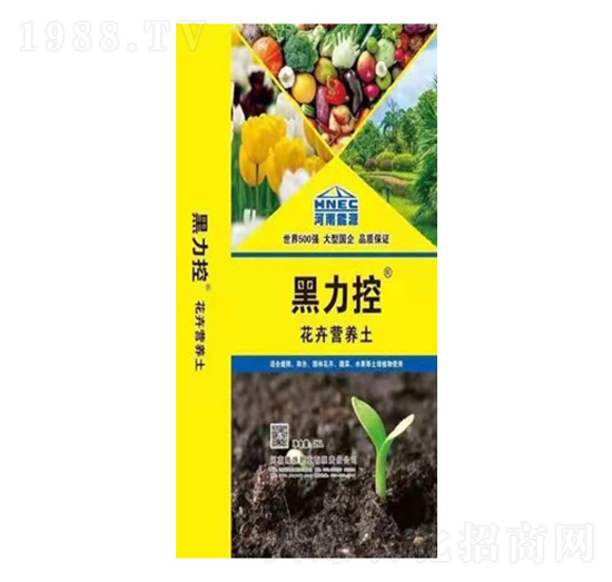 ���ܠI(y��ng)�B(y��ng)��-������-ԥ��ʘI(y��)