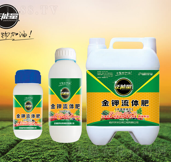 ��������⛽�����w��-������