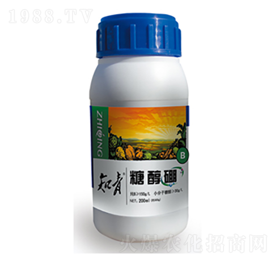 �Ǵ���-֪��-������