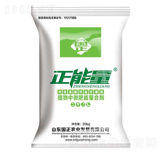 �}���V�~�F�i�\���f-������