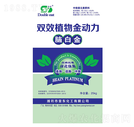 �pЧֲ�������-�p�|-���|����