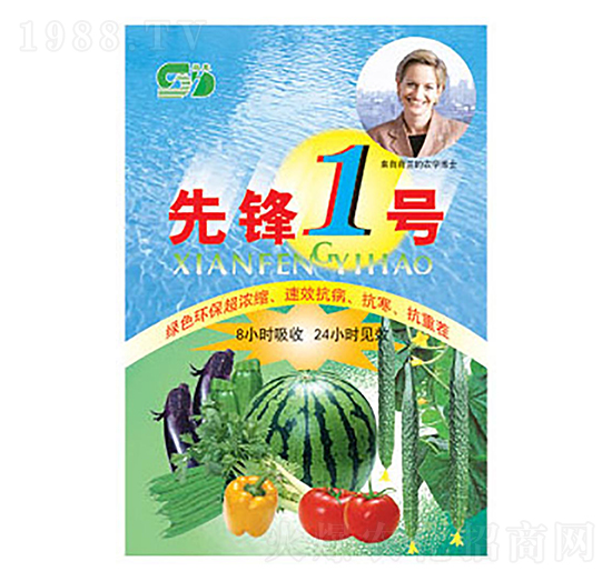 ����͛_ʩ��-���h1̖-���|����