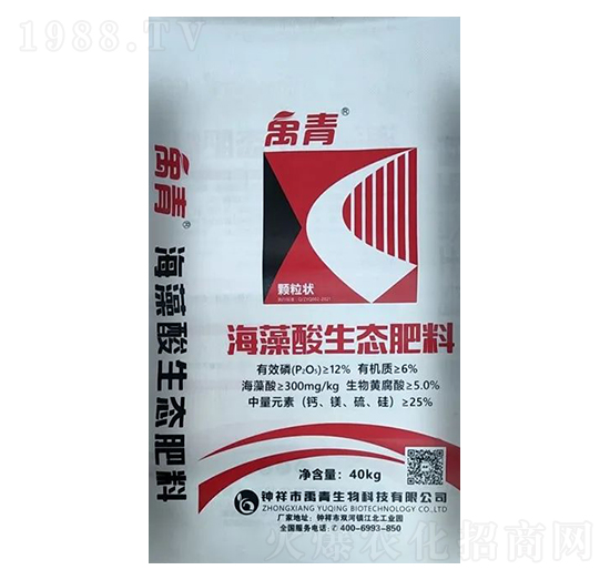 ���������B(t��i)����-��������