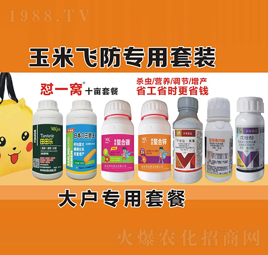 �����w�������ײ�-��һ�Cʮ���ײ�-���ƷʘI(y��)