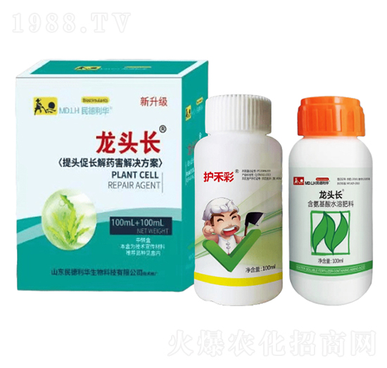 ���^���L(zh��ng)��ˎ����Q����-���^�L(zh��ng)-������A