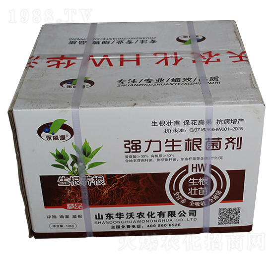 ������������-�A���r��