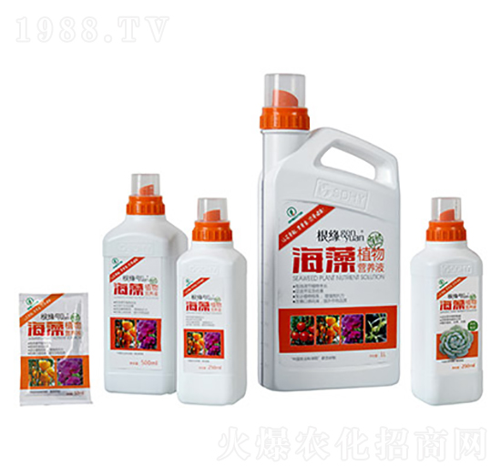 ͨ���ͺ���ֲ��I(y��ng)�B(y��ng)Һ-����-��������