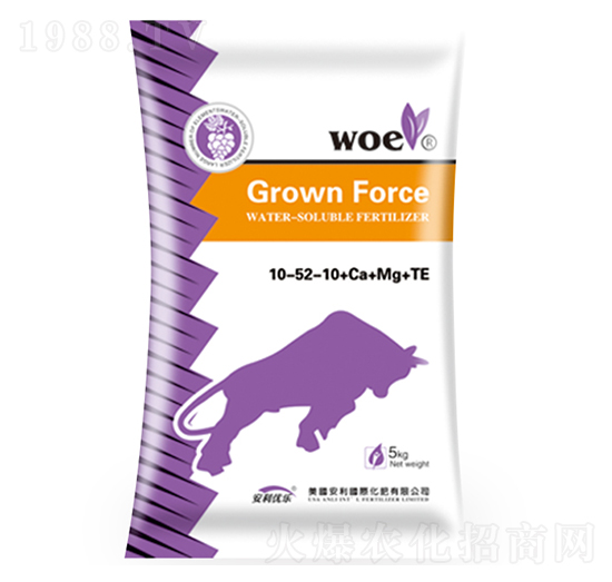 ����Ԫ��ˮ�ܷ���10-55-10+Ca+Mg+Te-�֠�