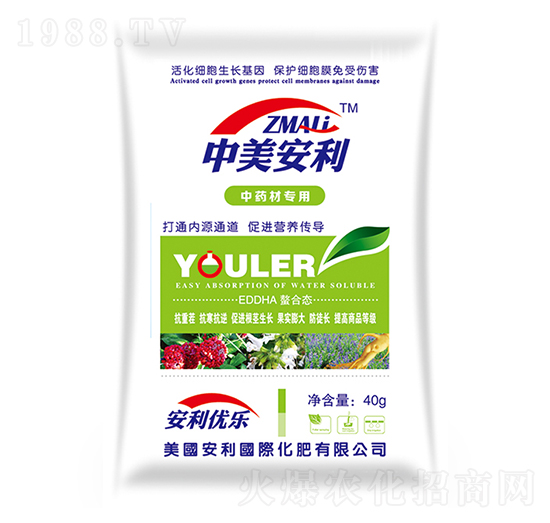 ��ˎ�Č���-�֠�