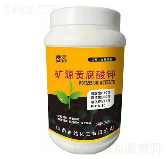 �VԴ�S�����-ِ��-�_�_�ʘI(y��)