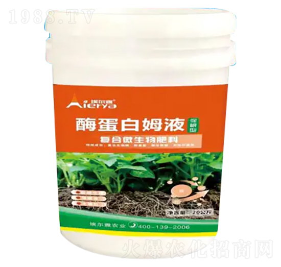 �ٸ��͏�(f��)��΢�������-��ø����ĸҺ-������