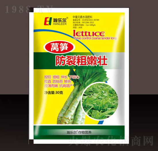 �n�S���Ѵ��ۉ�-嫘���