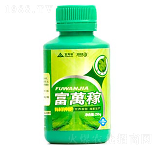 ���݌����~���-���f(w��n)�