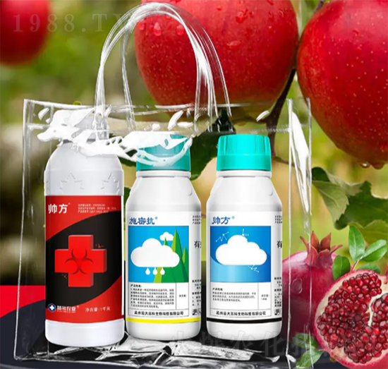 ��@����-��̖�r(n��ng)�I(y��)