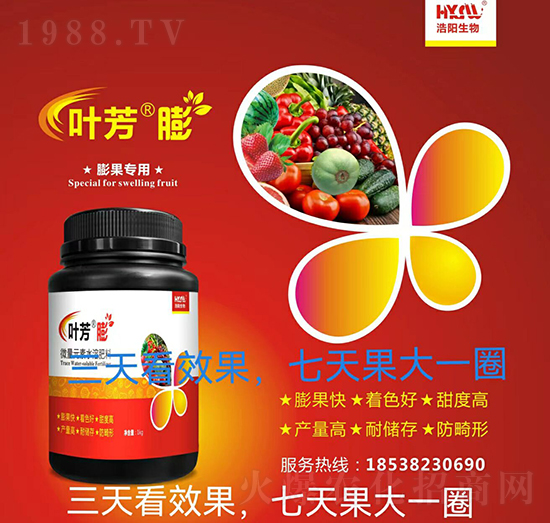 �������-�~����-�������