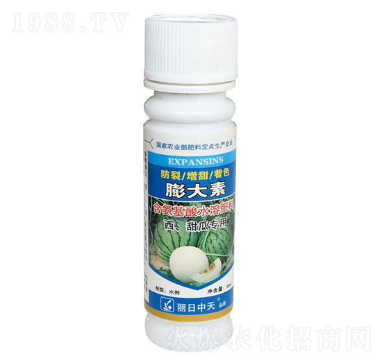 ��������ό���-���������-����ʘI(y��)