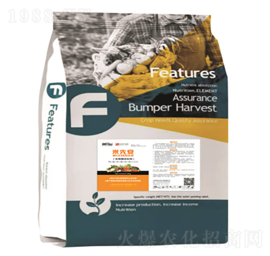 ���Ȱ�-�������