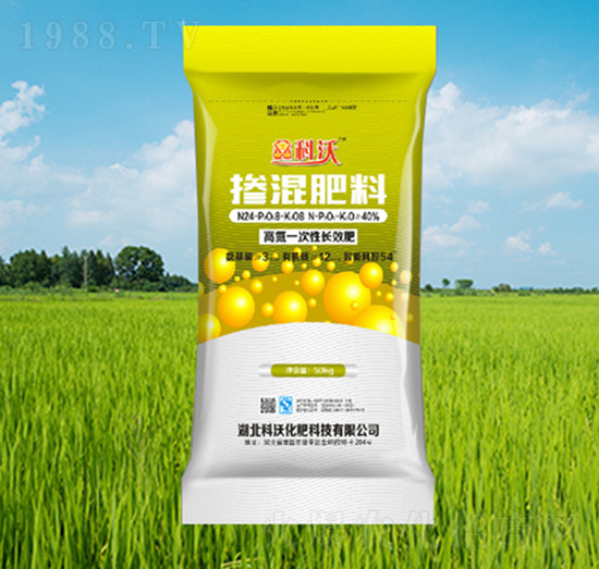 �ߵ�һ�����L(zh��ng)Ч��-�ο���-��Դ�Ƽ�