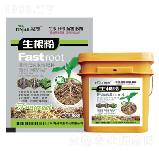 ӯï������-�fȪ�r(n��ng)��