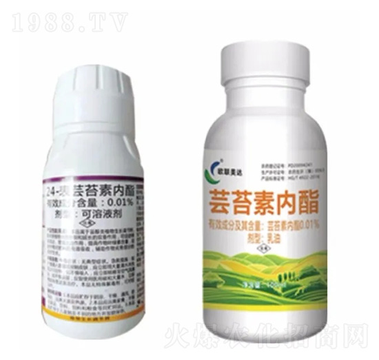 �|̦�؃�(n��i)֬-�W(li��n)���_