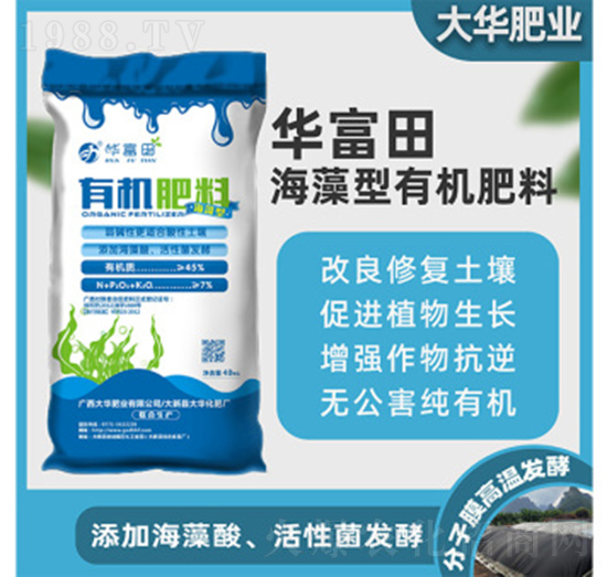 �������ЙC(j��)����-�A����-���A����