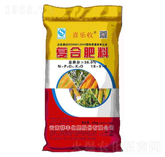 �ͺϷ���18-9-9-ϲ����-���黯��