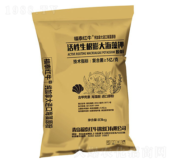 ��������������-��̩�tţ