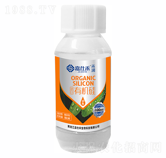 �M(j��n)���ЙC(j��)��-�ѝ�(r��n)-���˺�����