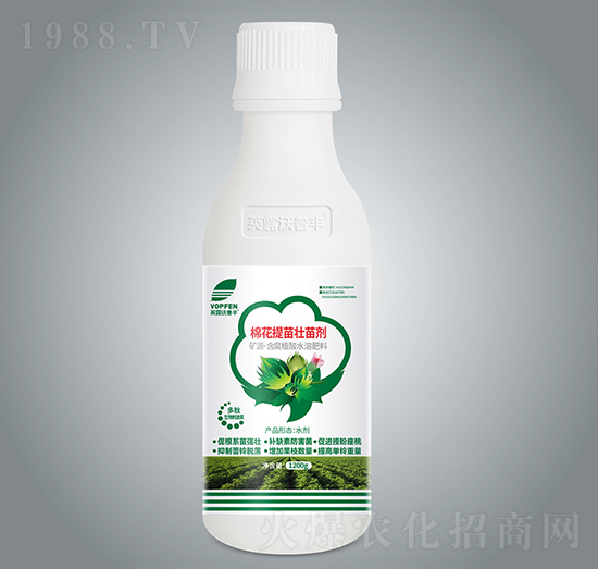 �޻�������焩-Ӣ¶�����S